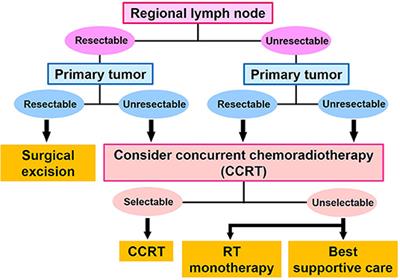 Continued Chemotherapy After Concurrent Chemoradiotherapy Improves Treatment Outcomes for Unresectable Cutaneous Squamous Cell Carcinoma: An Analysis of 13 Cases